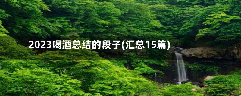 2023喝酒总结的段子(汇总15篇)