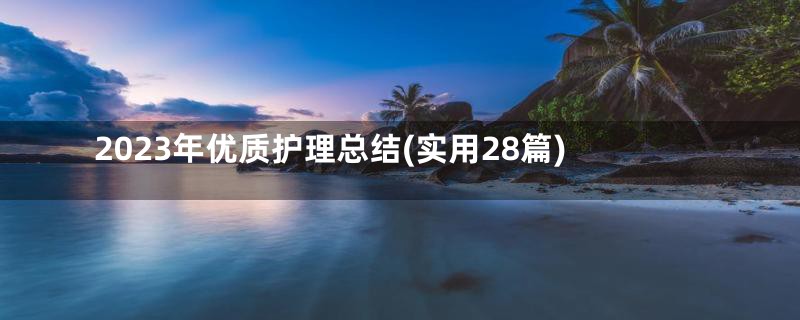 2023年优质护理总结(实用28篇)