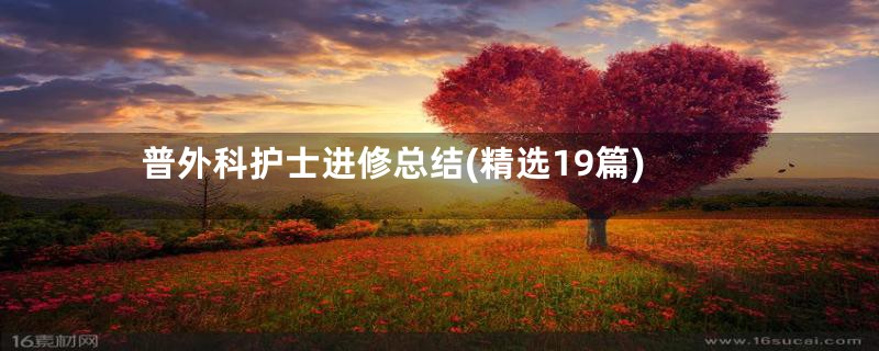 普外科护士进修总结(精选19篇)