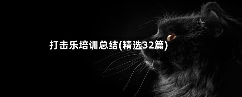 打击乐培训总结(精选32篇)