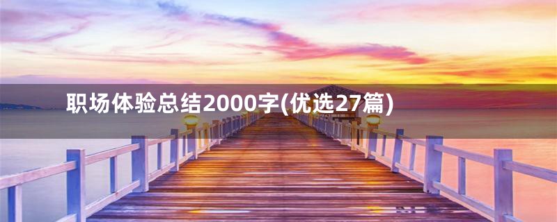 职场体验总结2000字(优选27篇)