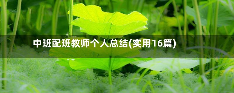 中班配班教师个人总结(实用16篇)
