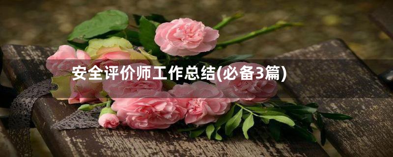 安全评价师工作总结(必备3篇)