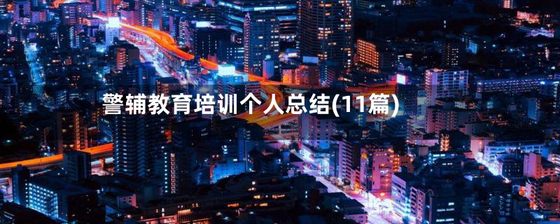 警辅教育培训个人总结(11篇)