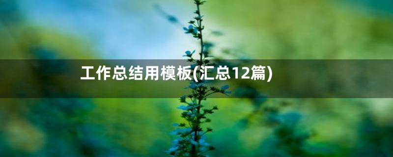 工作总结用模板(汇总12篇)