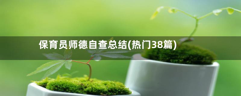 保育员师德自查总结(热门38篇)