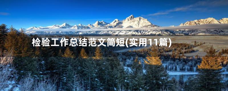 检验工作总结范文简短(实用11篇)