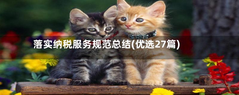 落实纳税服务规范总结(优选27篇)