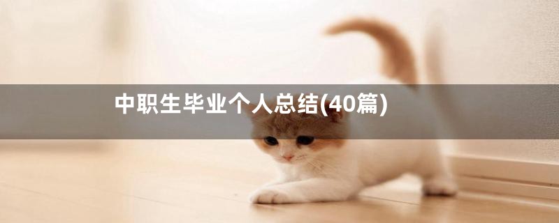 中职生毕业个人总结(40篇)