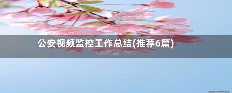 公安视频监控工作总结(推荐6篇)