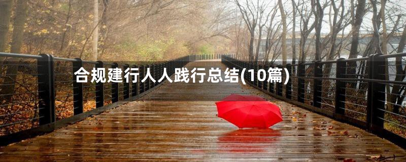 合规建行人人践行总结(10篇)