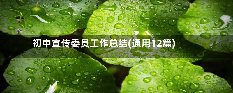 初中宣传委员工作总结(通用12篇)