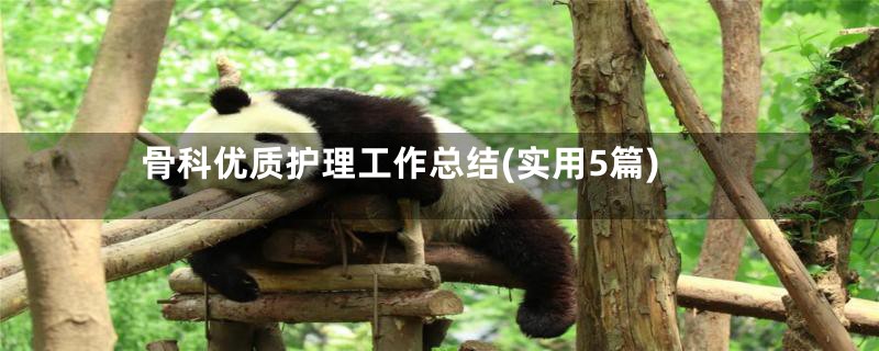 骨科优质护理工作总结(实用5篇)
