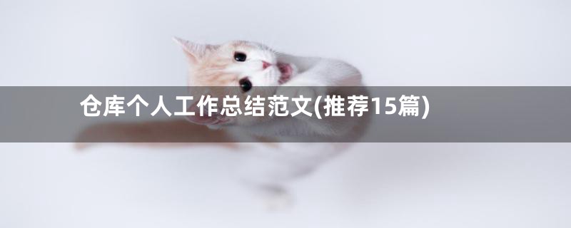 仓库个人工作总结范文(推荐15篇)