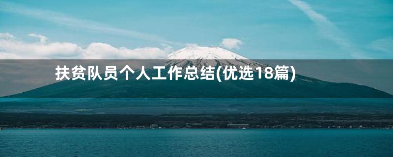 扶贫队员个人工作总结(优选18篇)