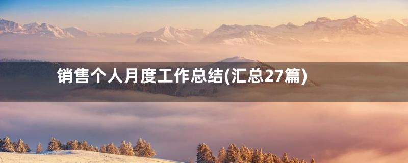 销售个人月度工作总结(汇总27篇)