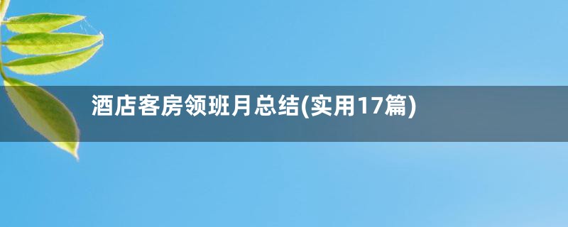 酒店客房领班月总结(实用17篇)