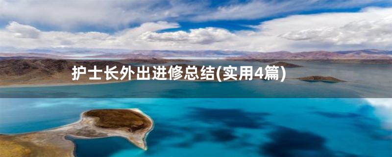 护士长外出进修总结(实用4篇)