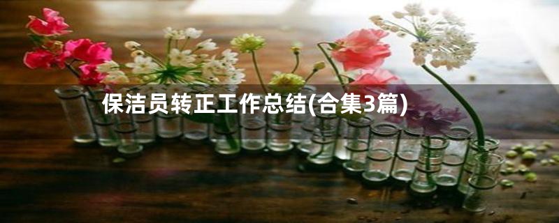 保洁员转正工作总结(合集3篇)