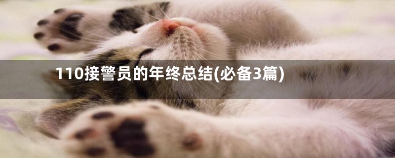110接警员的年终总结(必备3篇)