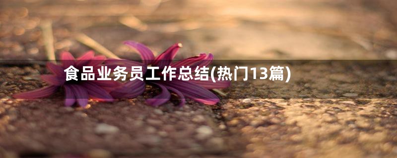 食品业务员工作总结(热门13篇)