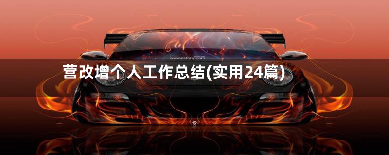 营改增个人工作总结(实用24篇)