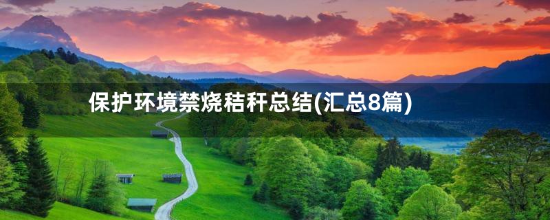 保护环境禁烧秸秆总结(汇总8篇)