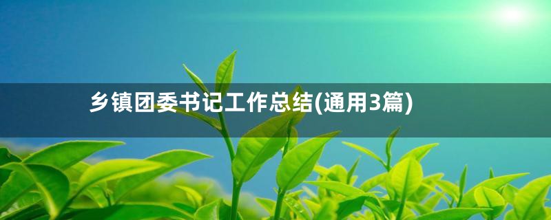 乡镇团委书记工作总结(通用3篇)