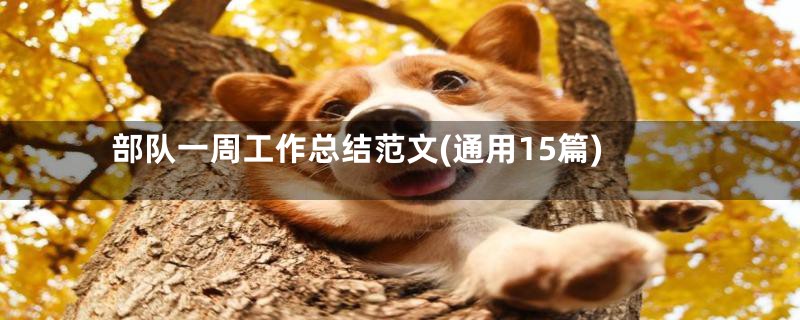 部队一周工作总结范文(通用15篇)