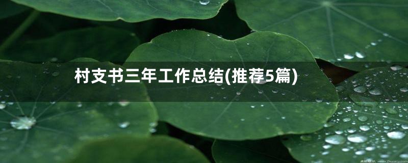 村支书三年工作总结(推荐5篇)