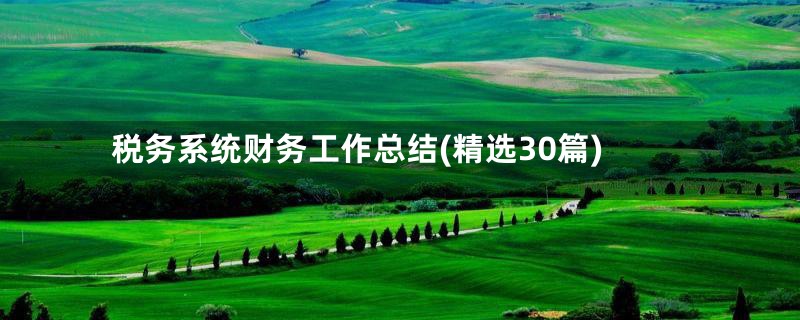 税务系统财务工作总结(精选30篇)
