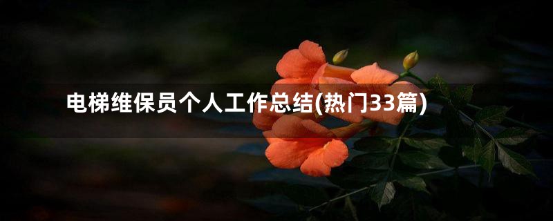 电梯维保员个人工作总结(热门33篇)