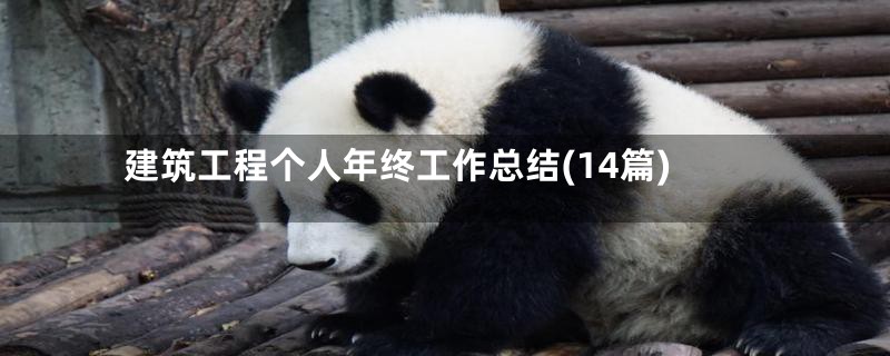 建筑工程个人年终工作总结(14篇)