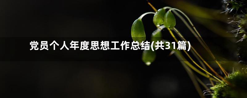 党员个人年度思想工作总结(共31篇)