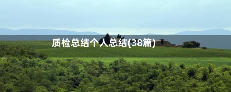 质检总结个人总结(38篇)