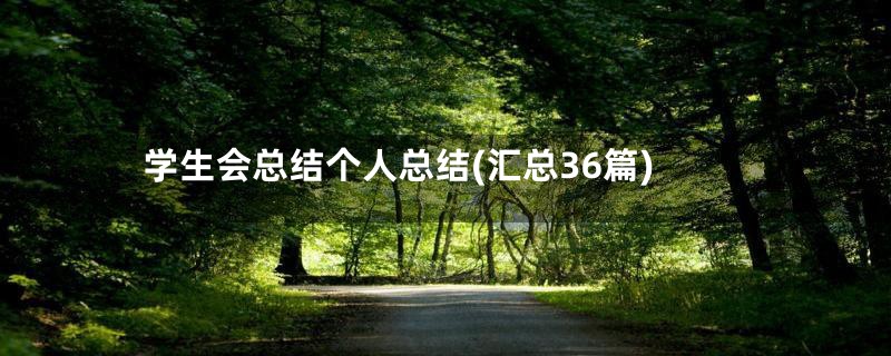 学生会总结个人总结(汇总36篇)