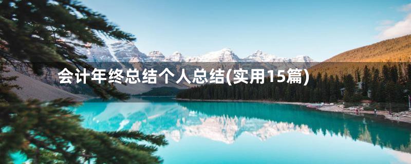 会计年终总结个人总结(实用15篇)