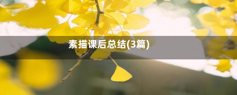 素描课后总结(3篇)