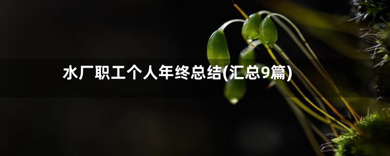 水厂职工个人年终总结(汇总9篇)
