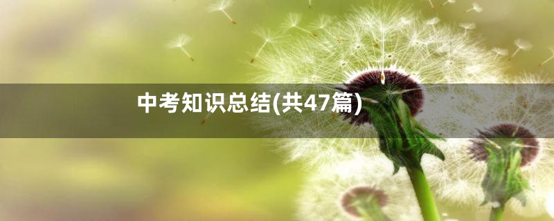 中考知识总结(共47篇)