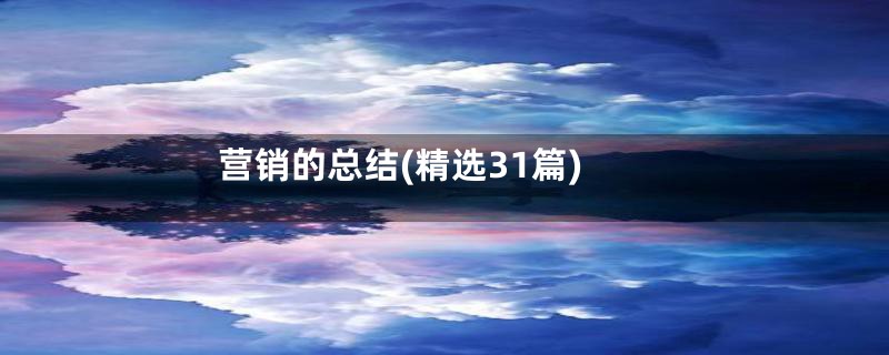 营销的总结(精选31篇)