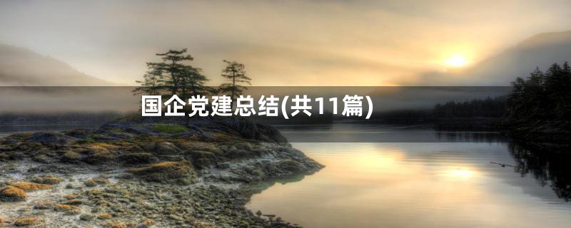 国企党建总结(共11篇)
