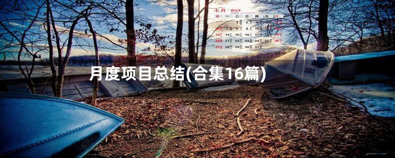 月度项目总结(合集16篇)