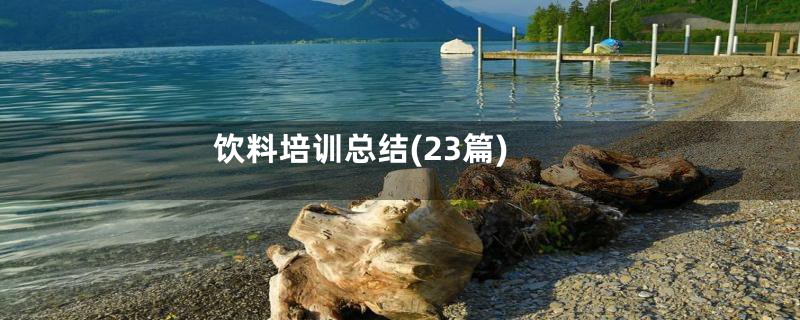 饮料培训总结(23篇)