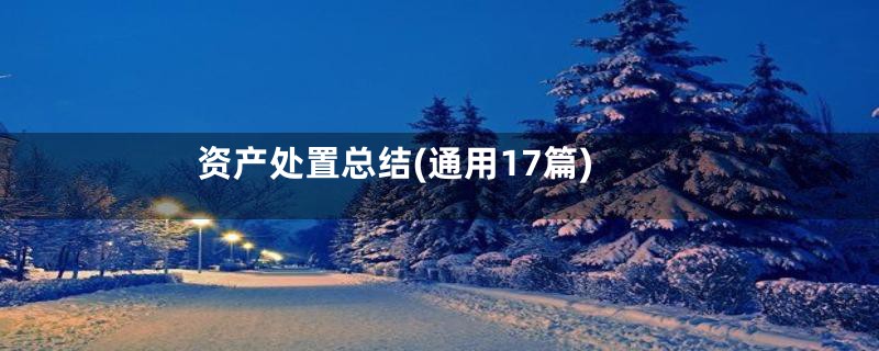 资产处置总结(通用17篇)