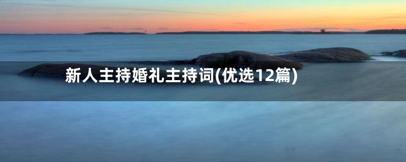 新人主持婚礼主持词(优选12篇)