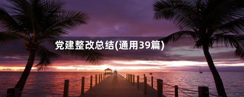 党建整改总结(通用39篇)