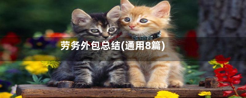 劳务外包总结(通用8篇)