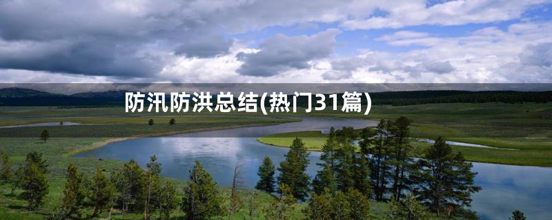 防汛防洪总结(热门31篇)
