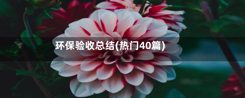 环保验收总结(热门40篇)